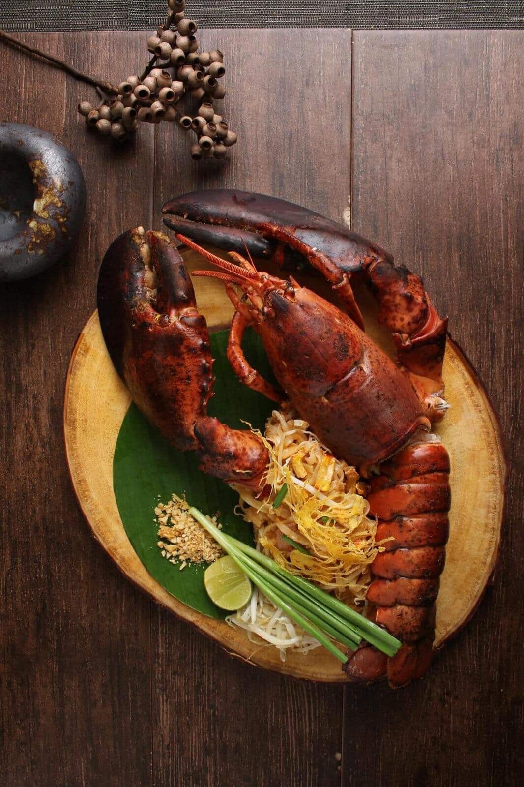 Food Gallery 08