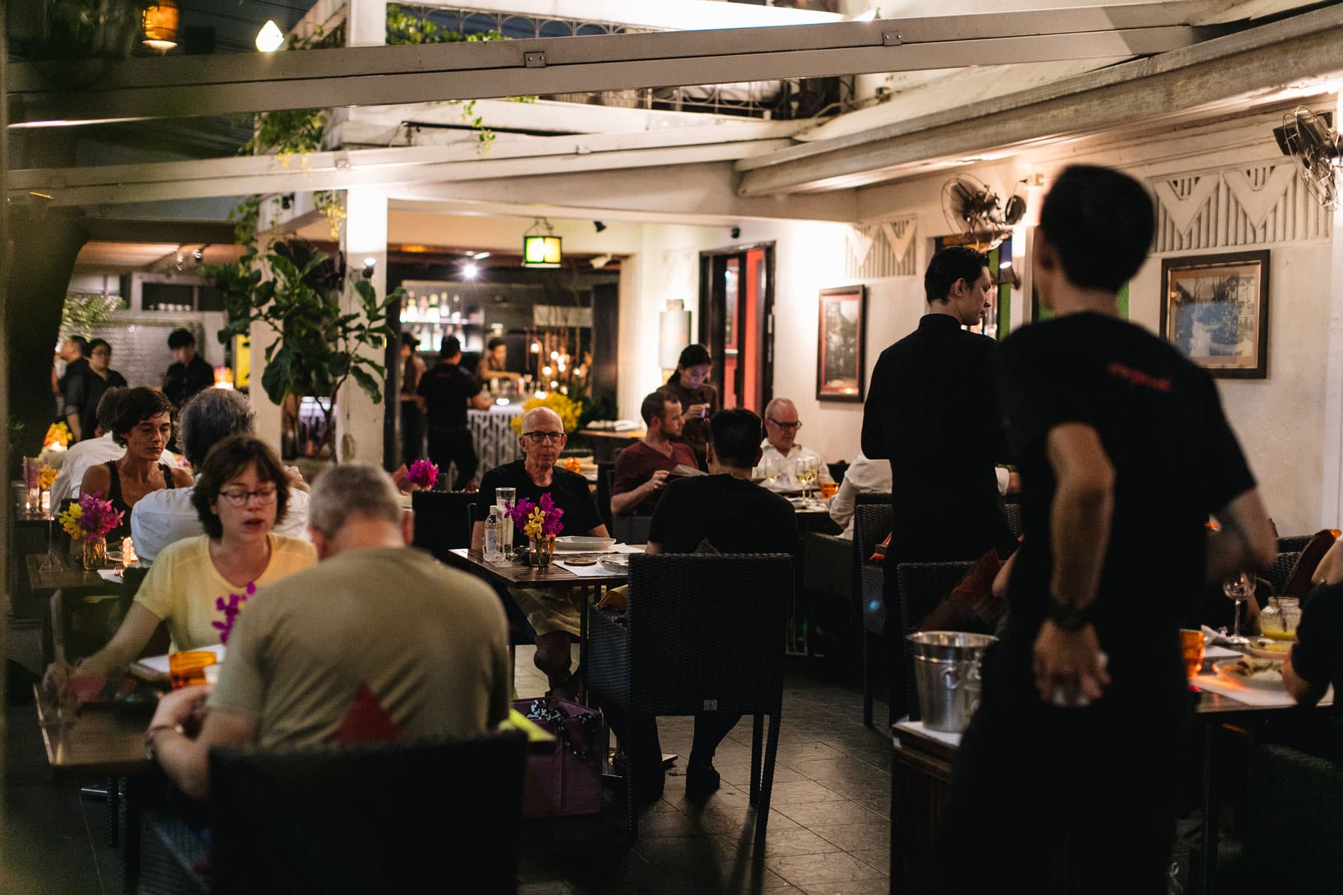 Mango Tree Location Gallery 01