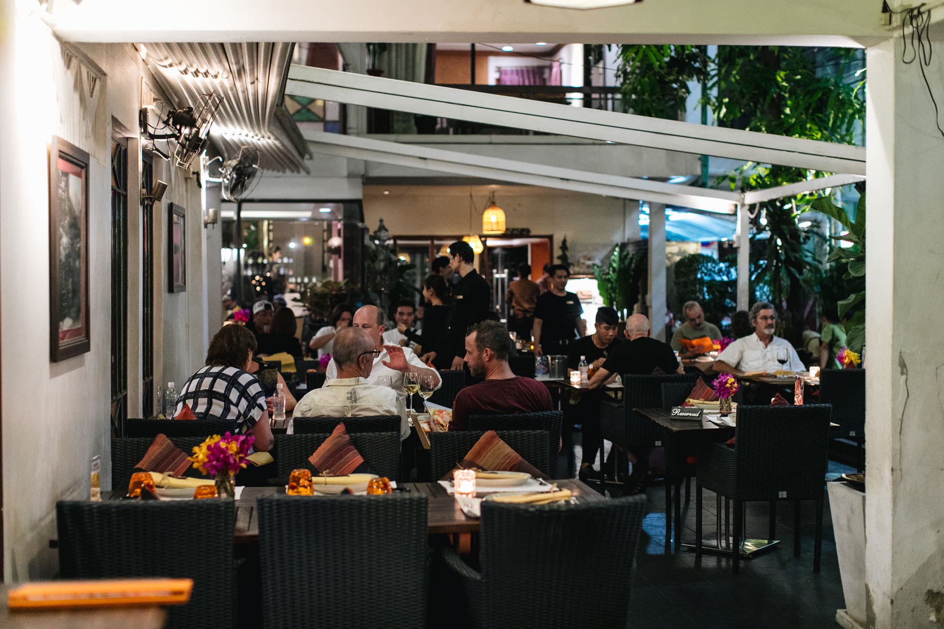 Mango Tree Location Gallery 03