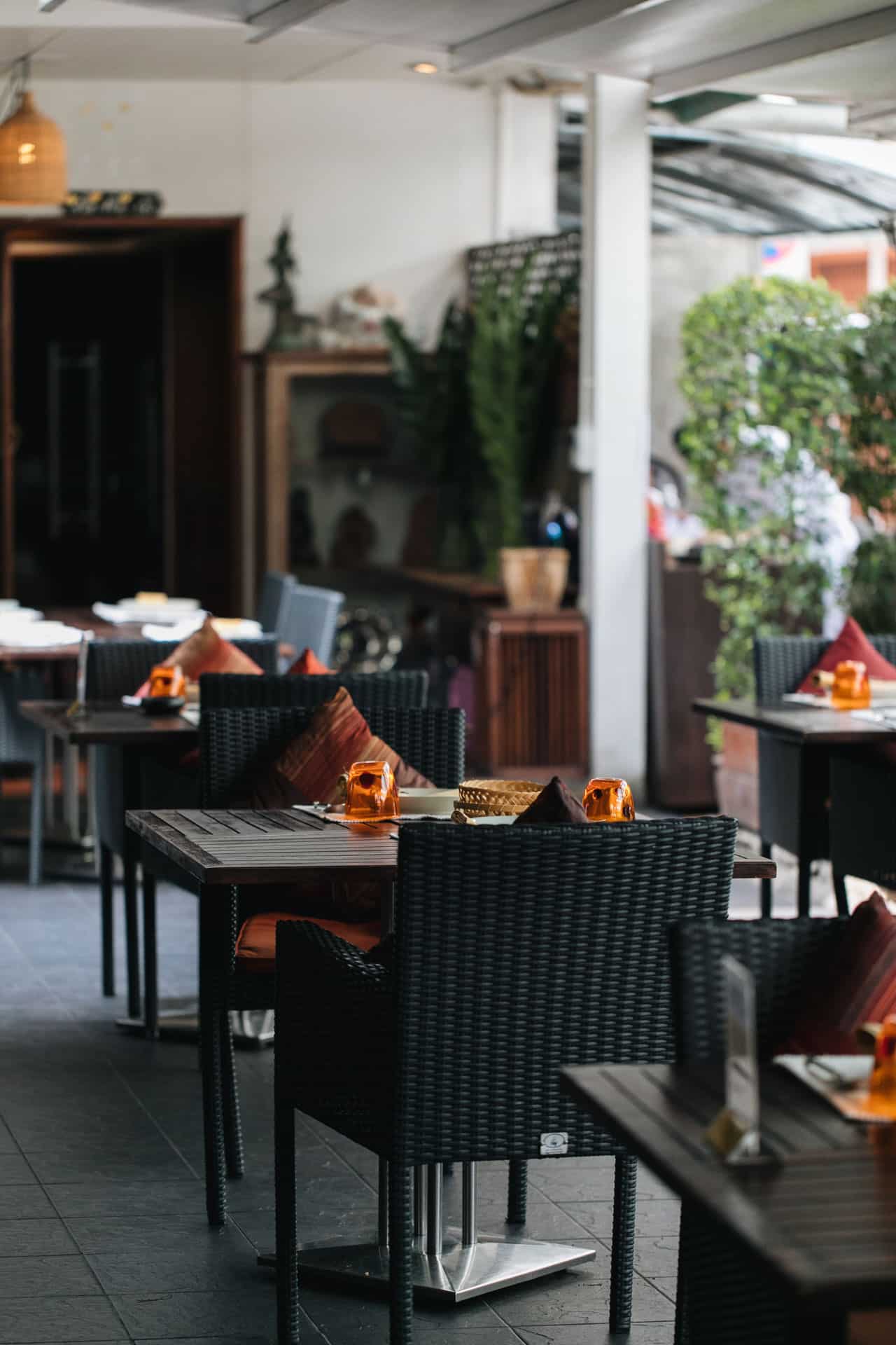 Mango Tree Location Gallery 04
