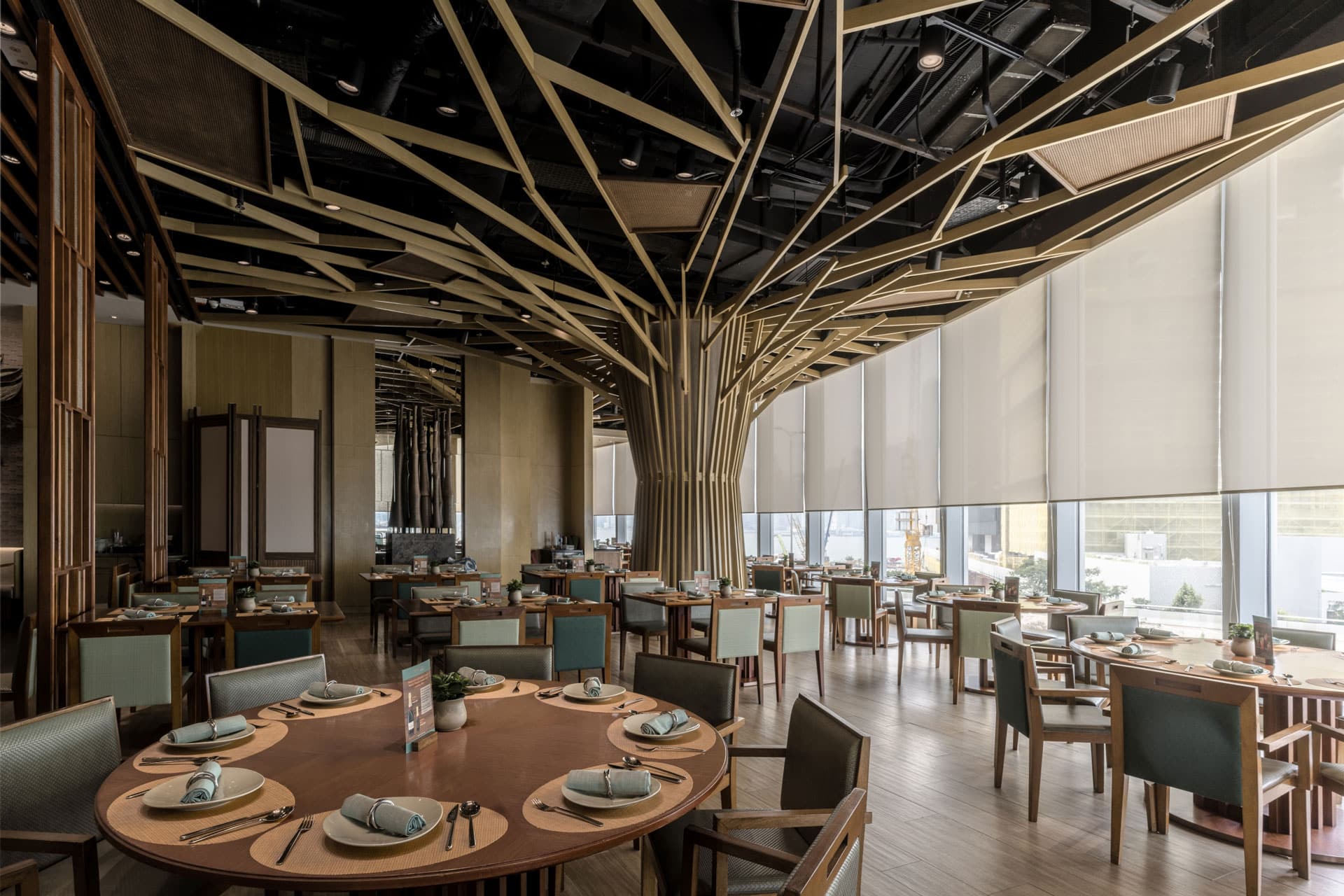 Mango Tree Location Gallery Hk 03