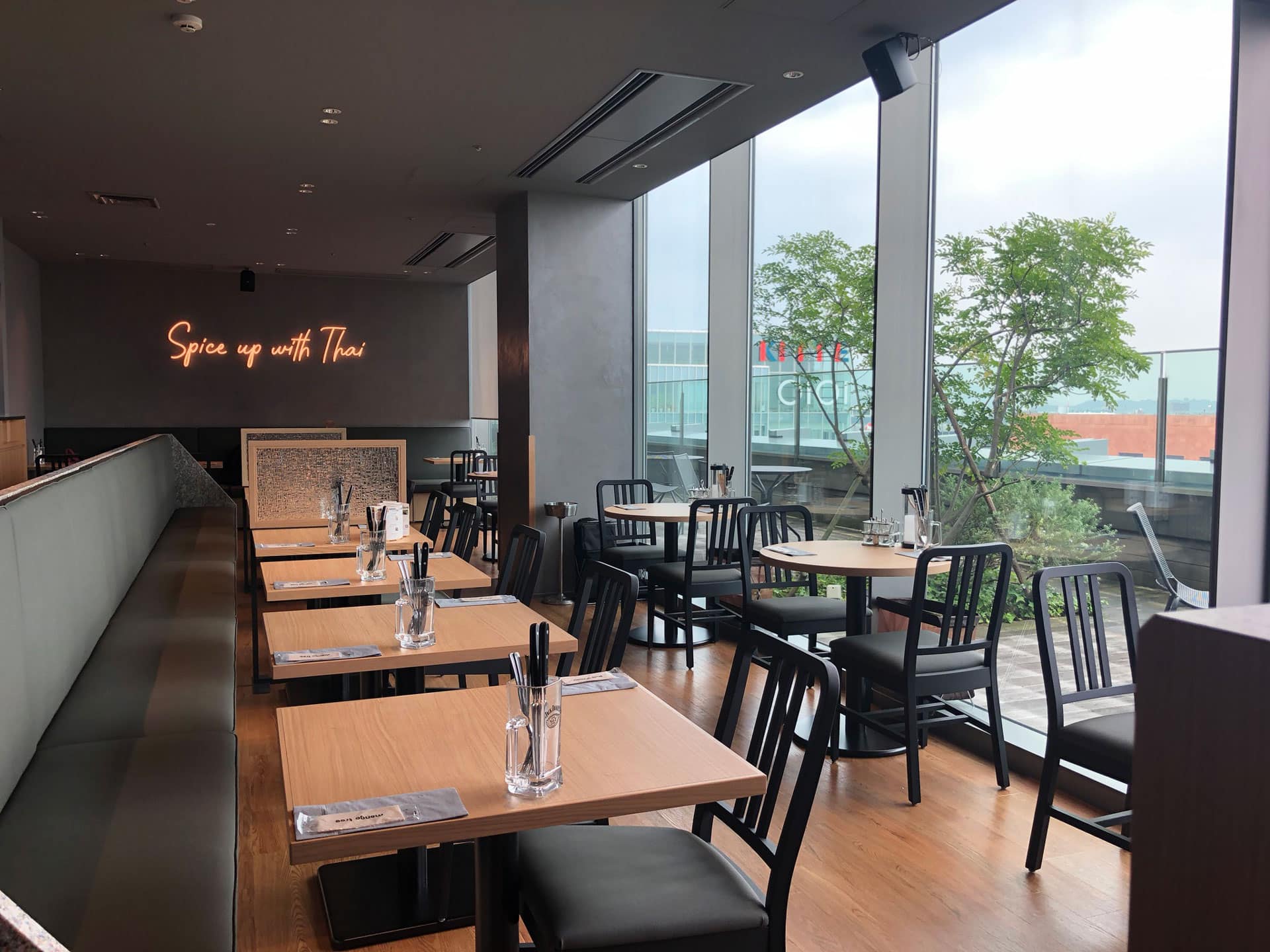 Mango Tree Location Gallery Jp 13