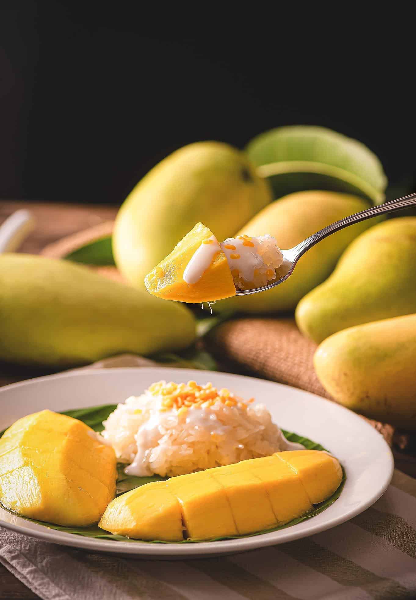 Food Gallery 21